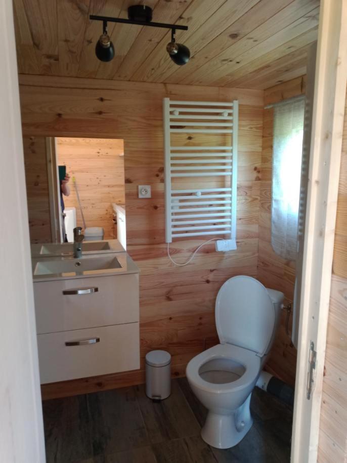 Chalet Au Calme Coullons Экстерьер фото